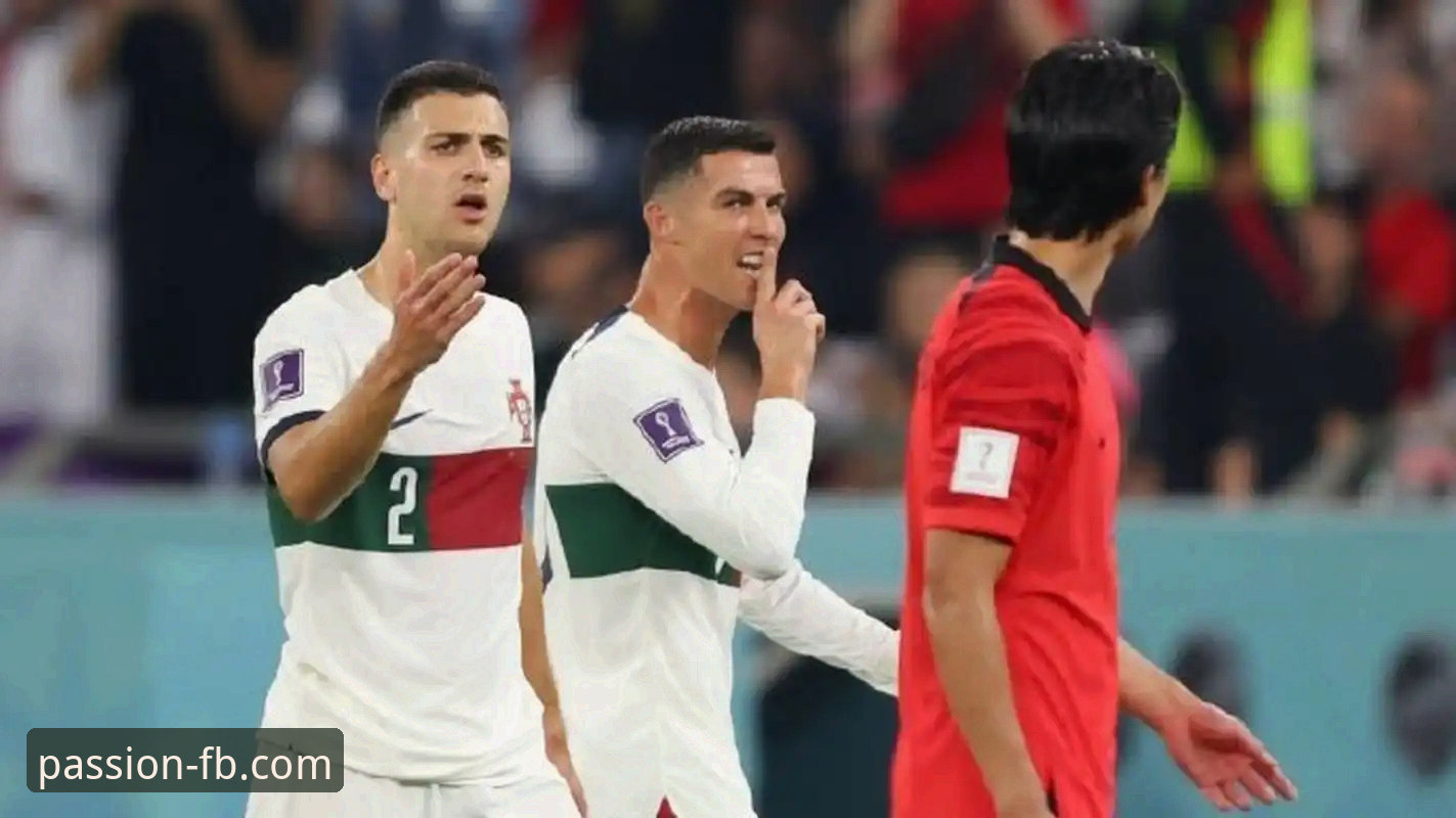 深度解析世界杯附加赛：从民主刚果绝杀晋级看FB体育投注教程评测的关键维度