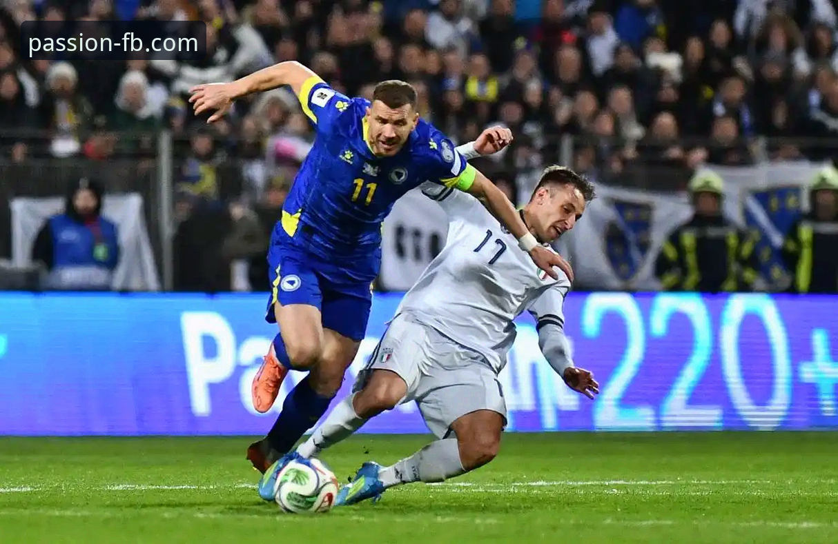 3个关键转折点：复盘波黑淘汰意大利的世预赛之夜